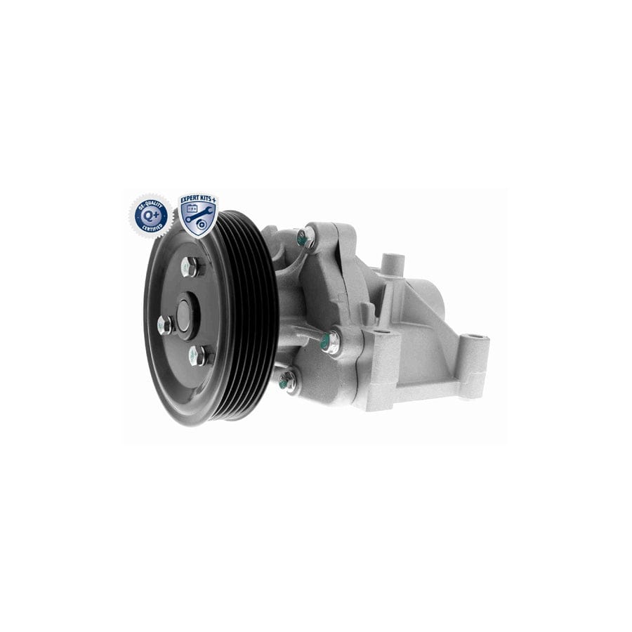 Ackoja A53-0704 Water Pump | ML Performance UK