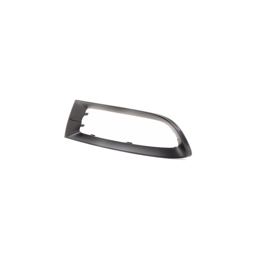 Genuine BMW 51117203793 E89 Trim Cover, Grill, Left SCHWARZ (Inc. Z4) | ML Performance UK Car Parts