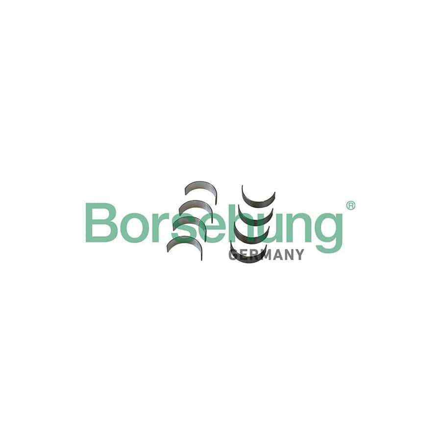 Borsehung B11332 Big End Bearings