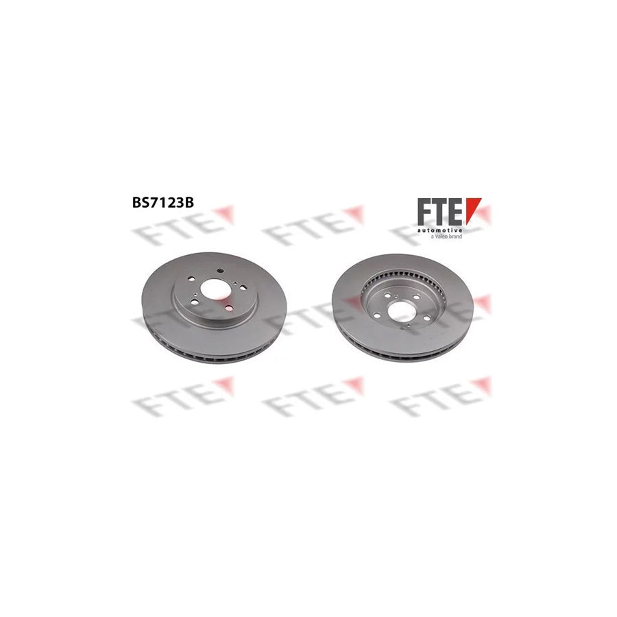 Fte 9081183 Brake Disc | ML Performance UK Car Parts