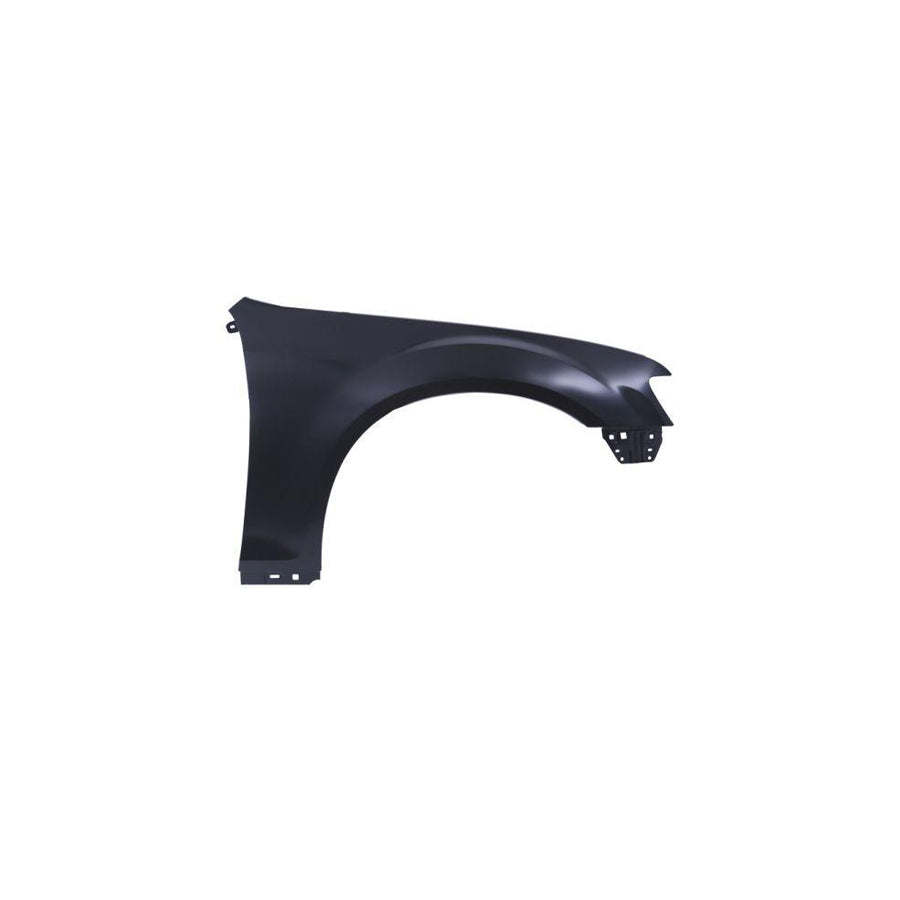 Blic 6504-04-0939312P Wing Fender