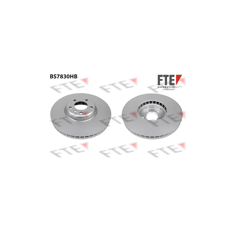 Fte 9081211 Brake Disc | ML Performance UK Car Parts