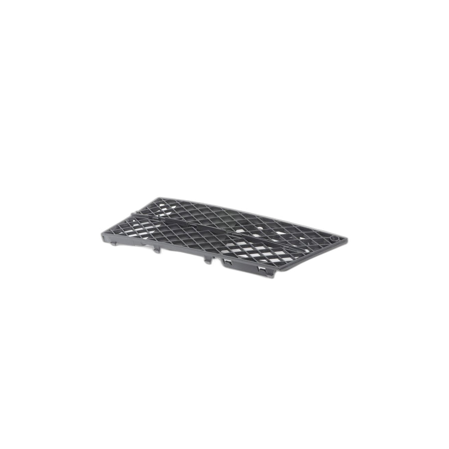 Genuine BMW 51117178097 E60 E61 Grid Lateral Left (Inc. 530i, 528xi & 535xi) | ML Performance UK Car Parts