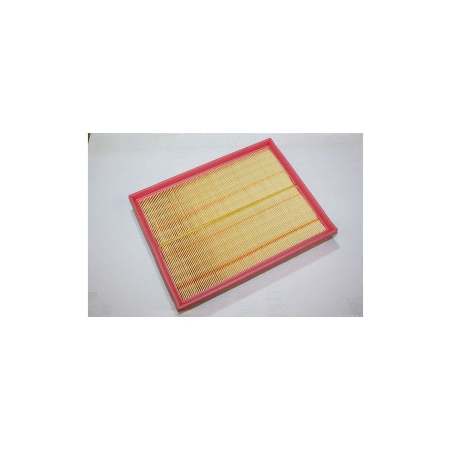 AUTOMEGA 180023610 Air Filter | ML Performance UK Car Parts