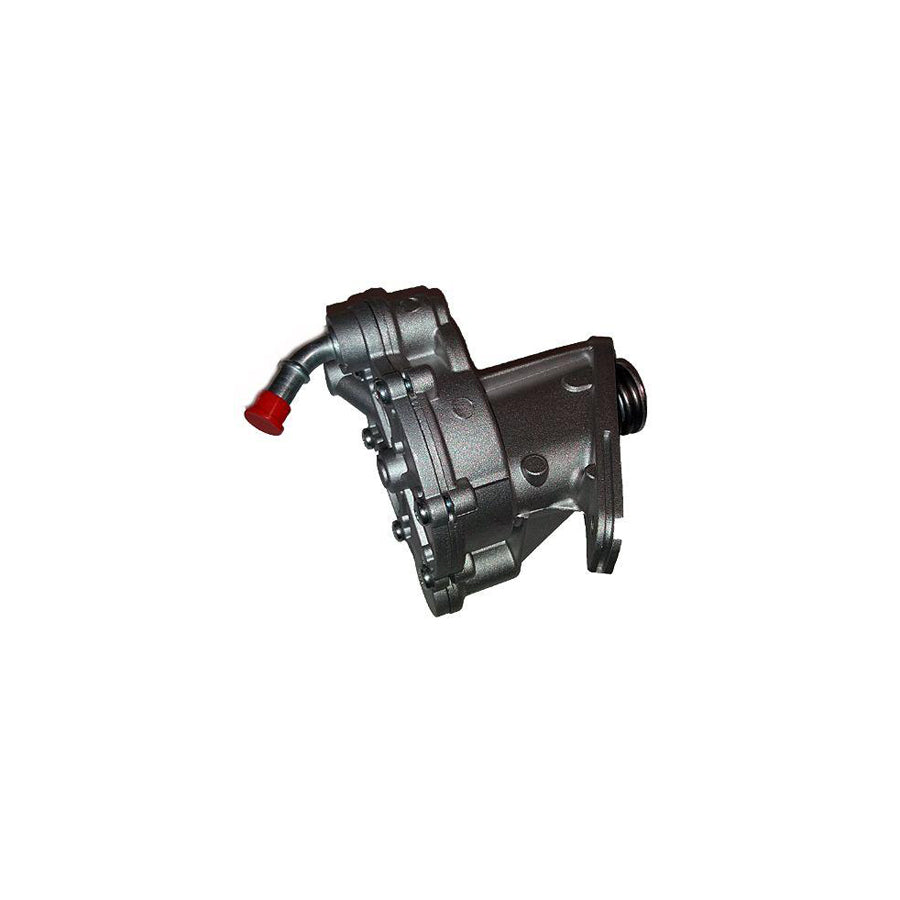 Bugiad BGT00016 Brake Vacuum Pump