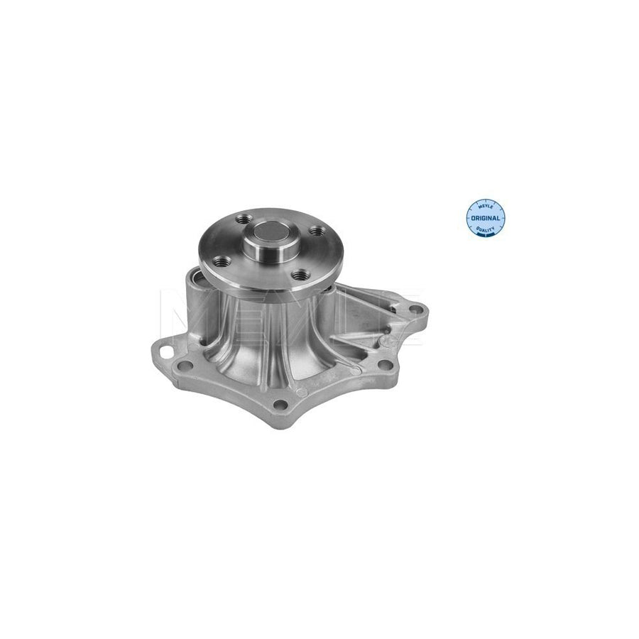 Meyle 30-13 220 0013 Water Pump