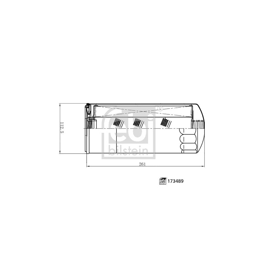 Febi Bilstein 173489 Oil Filter