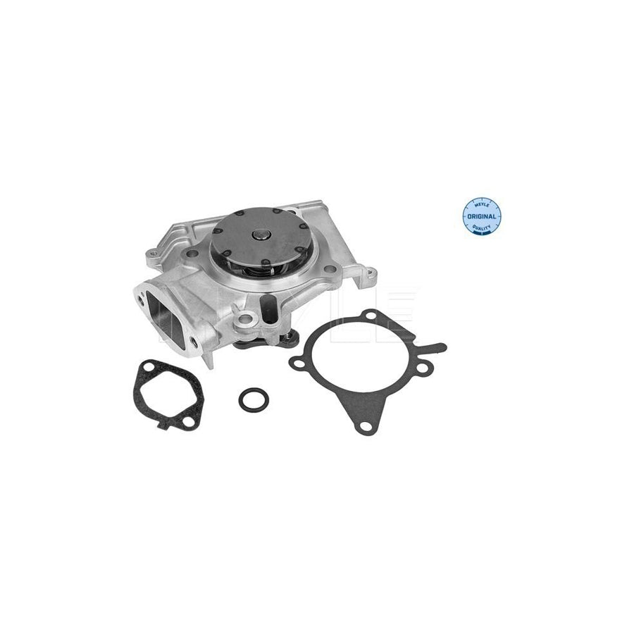 Meyle 30-13 220 0017 Water Pump