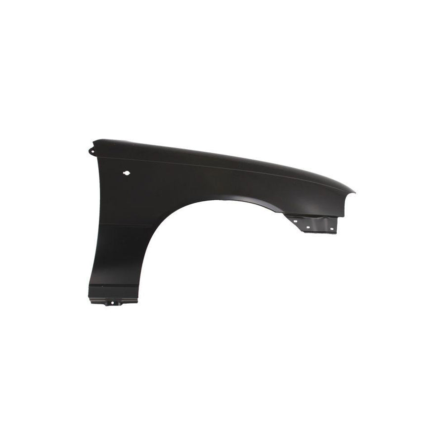 Blic 6504-04-1105312P Wing Fender