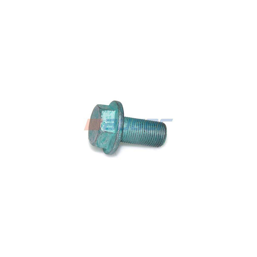 Auger 68273 Screw