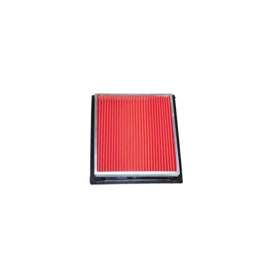 AUTOMEGA 180066810 Air Filter | ML Performance UK Car Parts