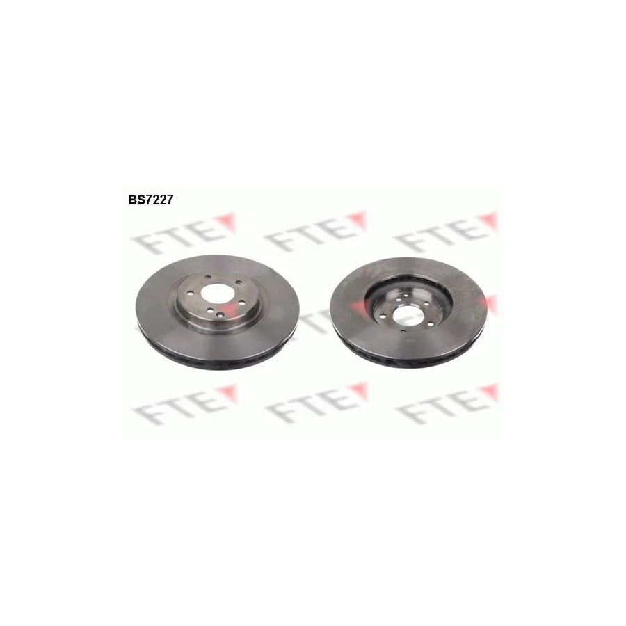 Fte 9071313 Brake Disc | ML Performance UK Car Parts