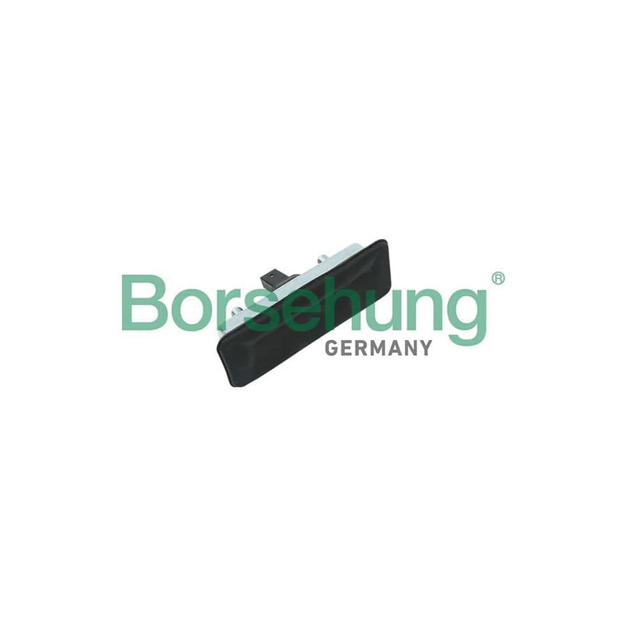 Borsehung B18715 Tailgate Handle