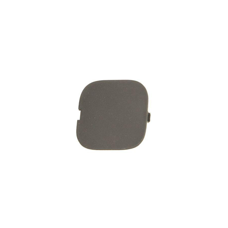 Blic 5513-00-6042925P Flap, Tow Hook