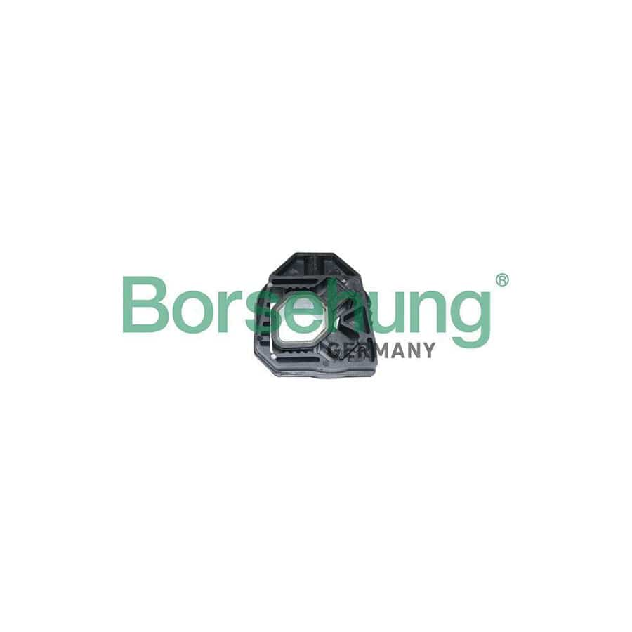 Borsehung B11359 Mounting, Radiator