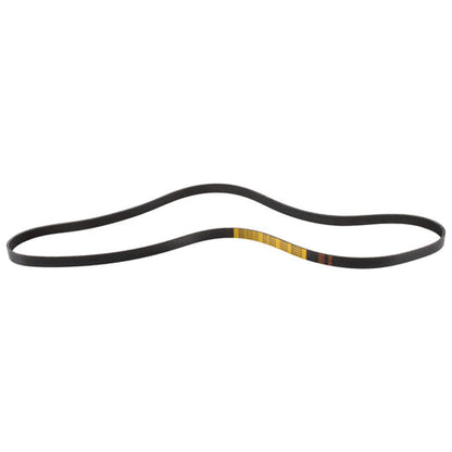 GENUINE FORD 1072317 FOCUS ZETEC MOTORCRAFT DRIVE V BELT | ML Performance UK