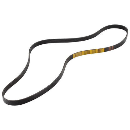 GENUINE FORD 1072317 FOCUS ZETEC MOTORCRAFT DRIVE V BELT | ML Performance UK