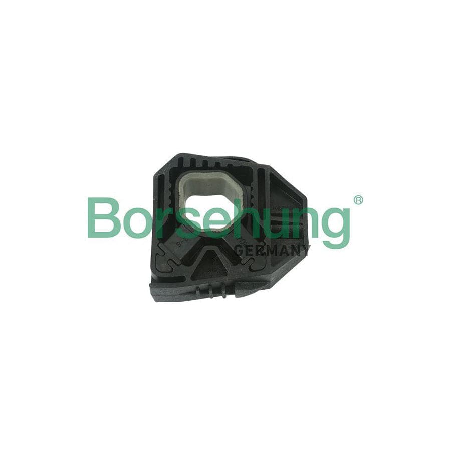 Borsehung B11356 Mounting, Radiator