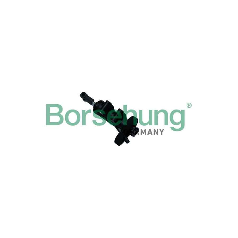 Borsehung B18711 Master Cylinder, Clutch For Audi A6