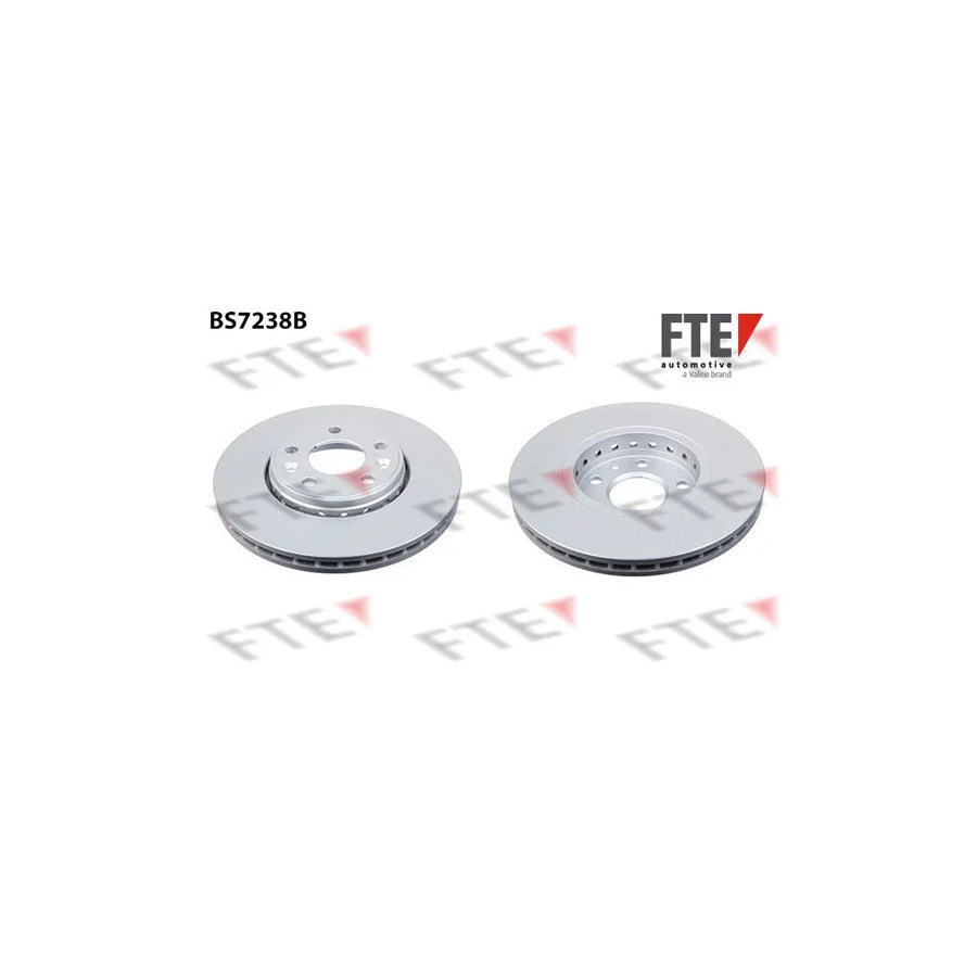 Fte 9081219 Brake Disc | ML Performance UK Car Parts