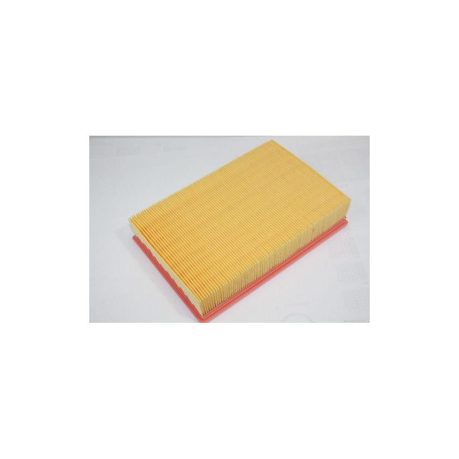 AUTOMEGA 180026810 Air Filter | ML Performance UK Car Parts