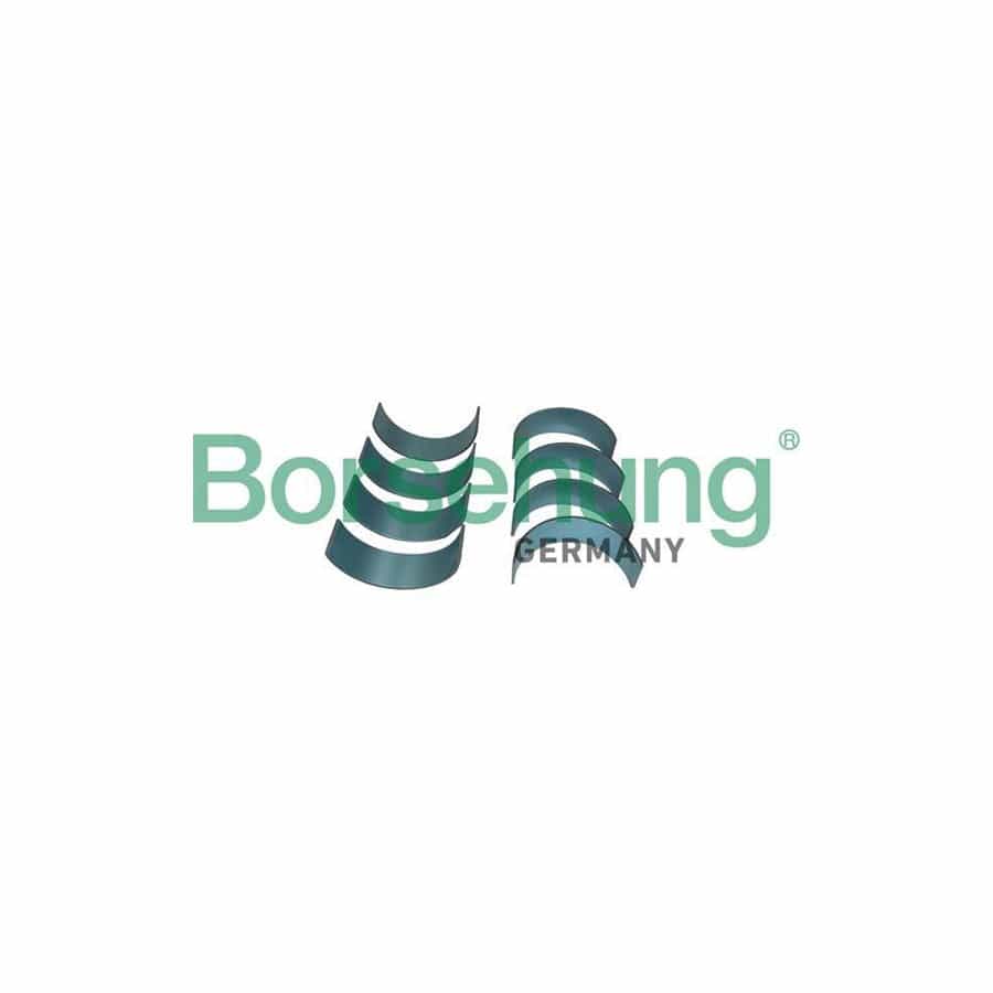 Borsehung B11382 Big End Bearings