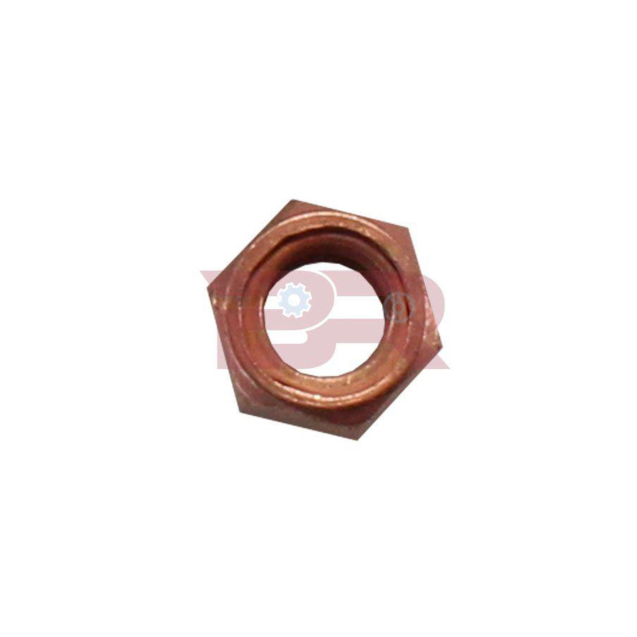 Botto Ricambi BRM3139 Nut