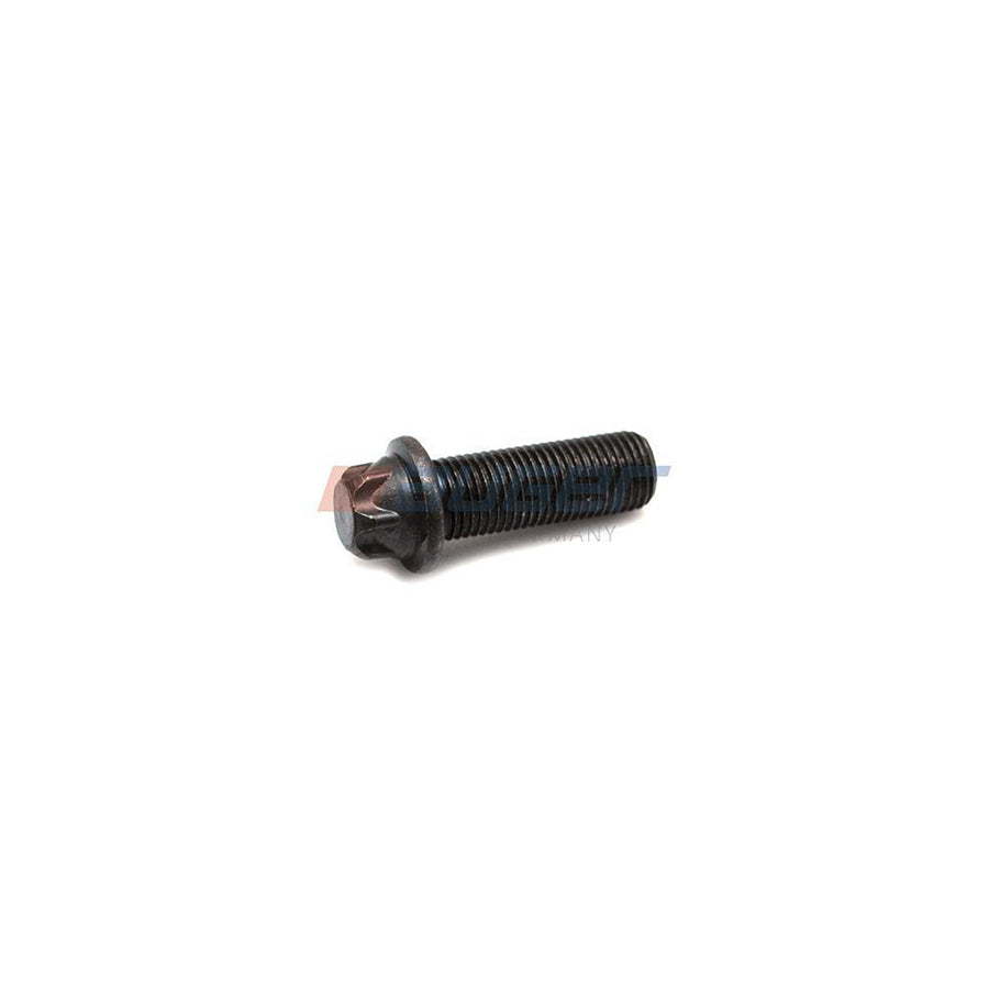 Auger 55302 Screw