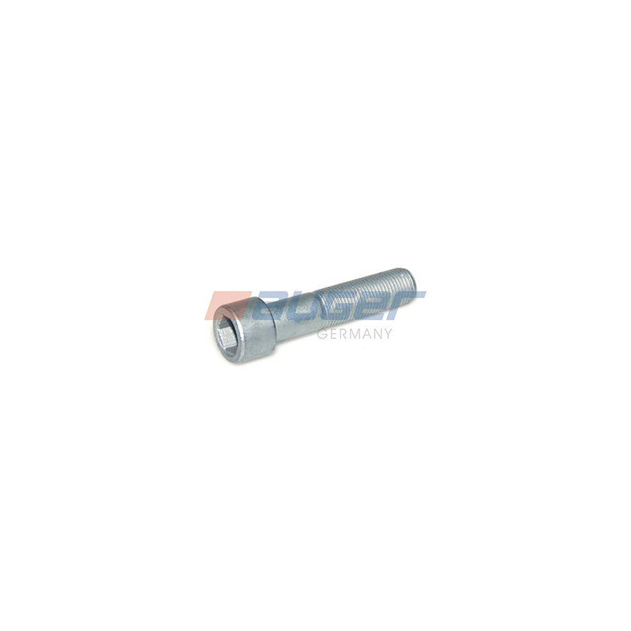 Auger 55325 Screw