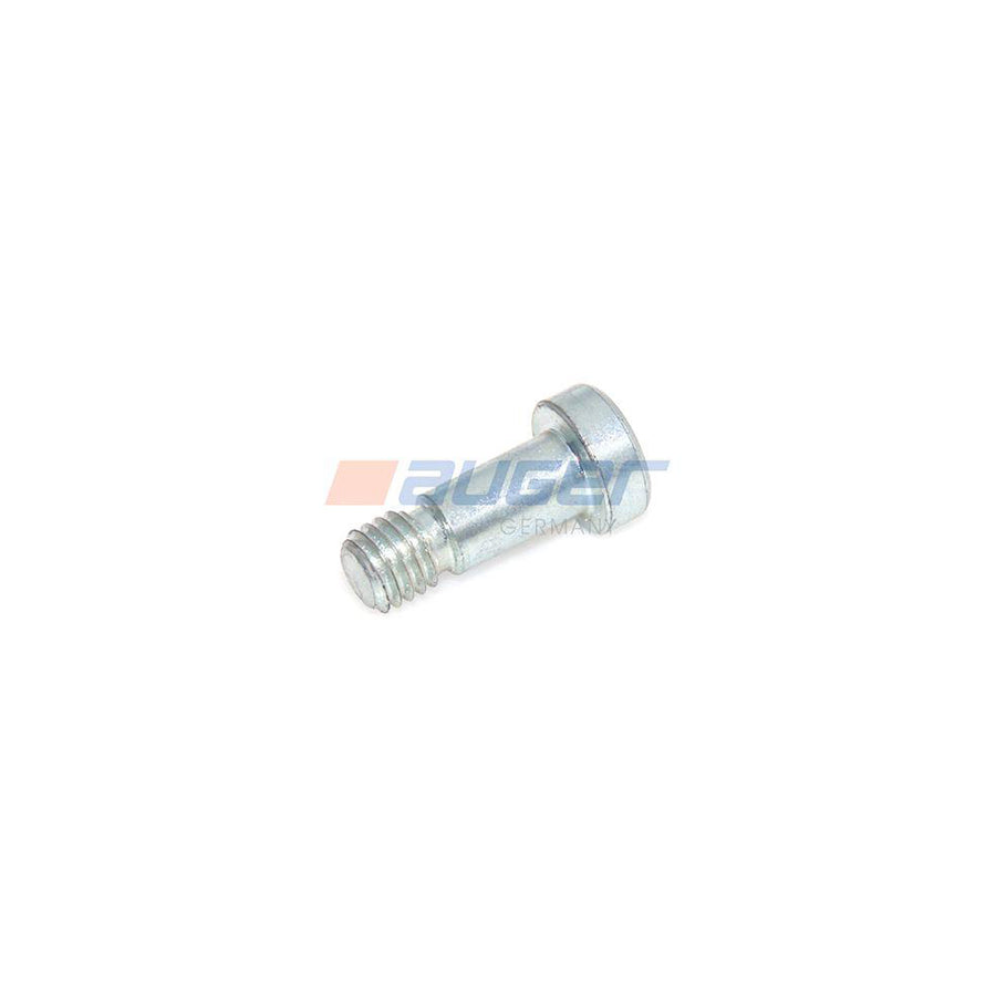 Auger 55324 Screw