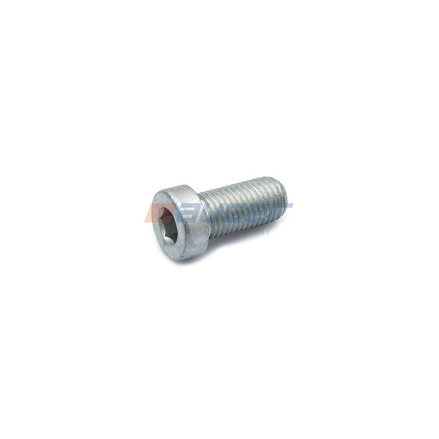 Auger 71861 Screw