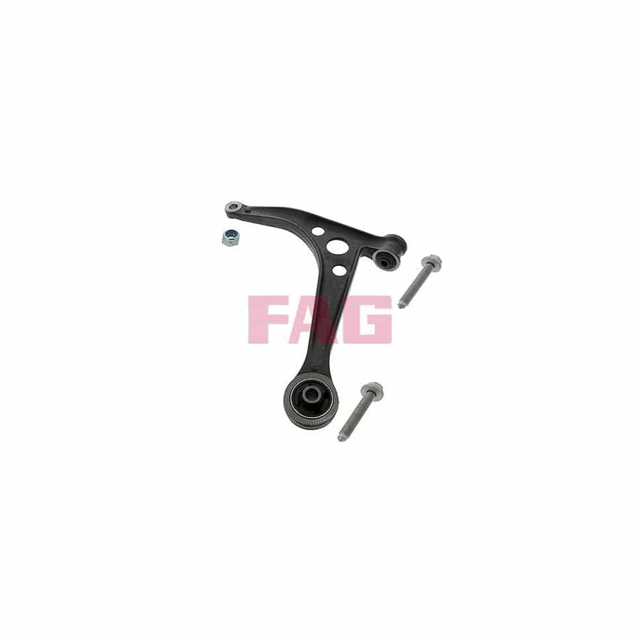 FAG 821 0253 10 Suspension Arm