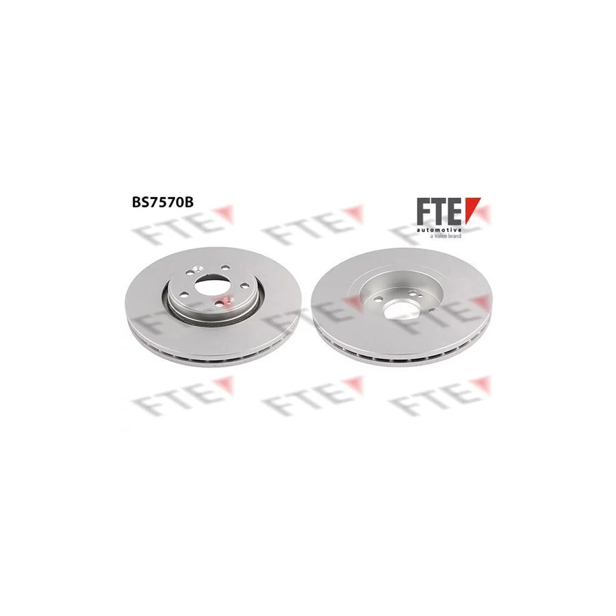 Fte BS7570B Brake Disc For Renault ScÃ©nic I (Ja0/1, Fa0) | ML Performance UK Car Parts