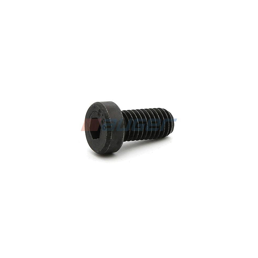 Auger 55330 Screw