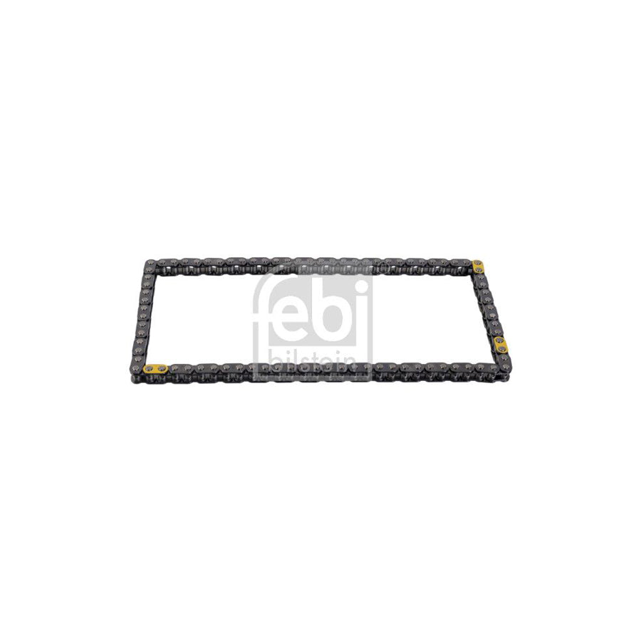 Febi Bilstein 181070 Timing Chain