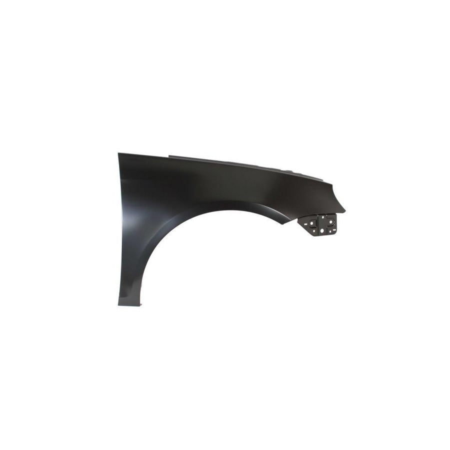 Blic 6504-04-9554312P Wing Fender For VW Eos (1F7, 1F8)