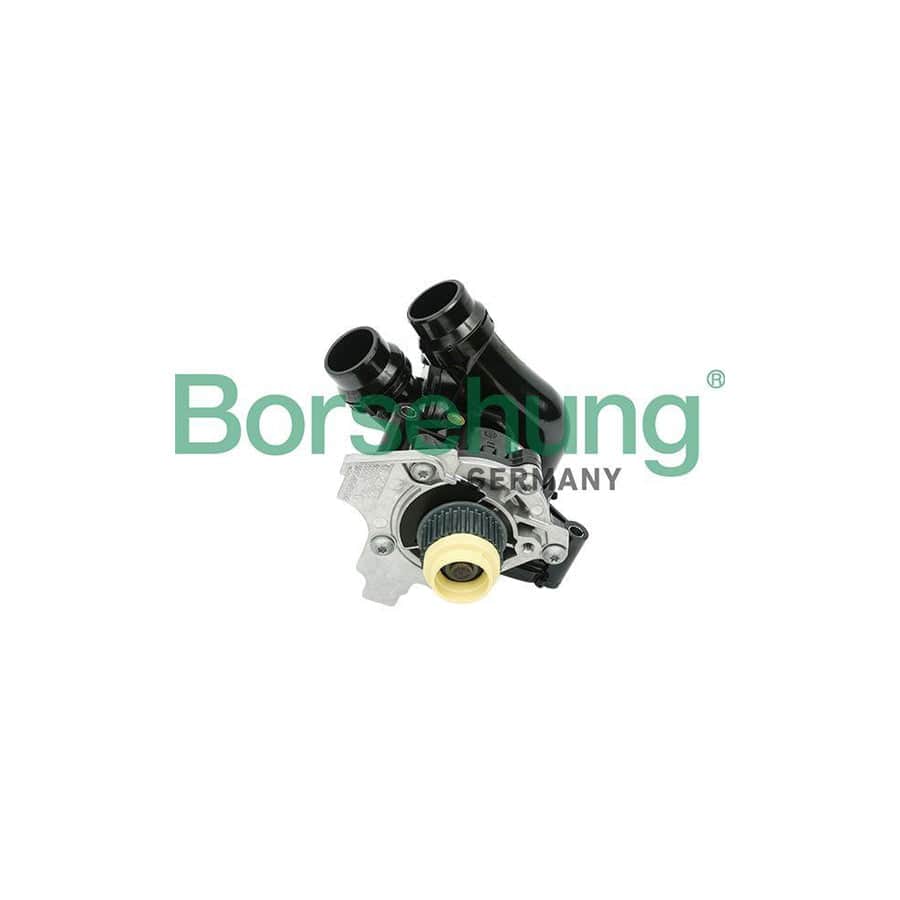 Borsehung B18736 Water Pump