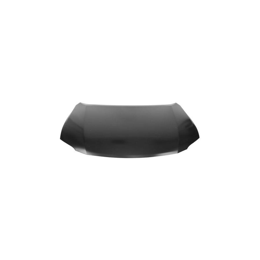 Blic 6803-00-8122282P Bonnet For Lexus Rx III (Al10)