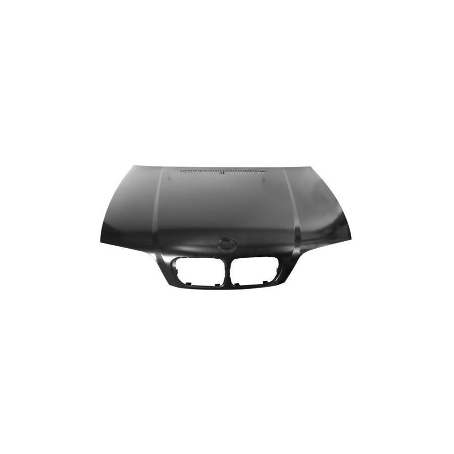 Blic 6803-00-0061281P Bonnet For BMW 3 Series