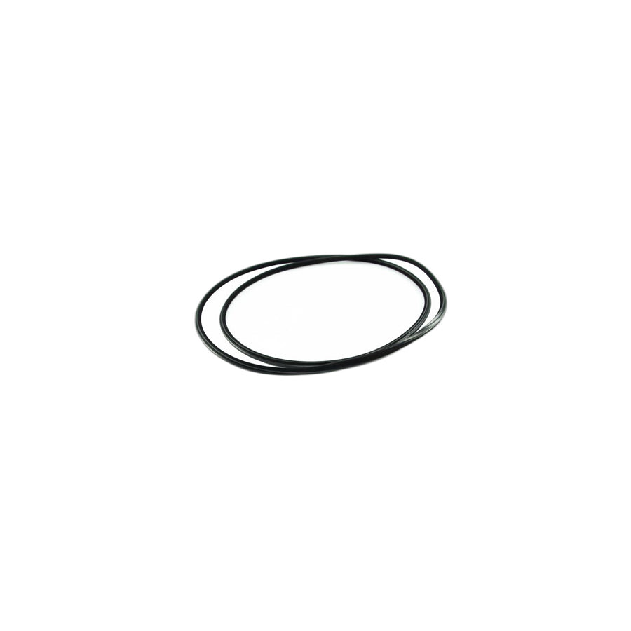 Genuine BMW 54138218001 E46 Circul.Sliding/Lifting Roof Cover Gasket (Inc. 330d, 330Cd & 325i)