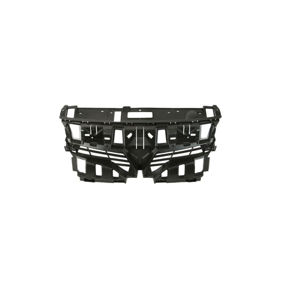 Blic 6502-07-6046994P Radiator Grille For Renault Scénic III (Jz0/1_)