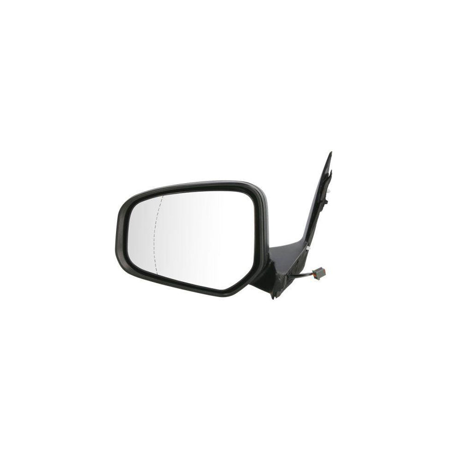 Blic 5402-03-2001256P Wing Mirror