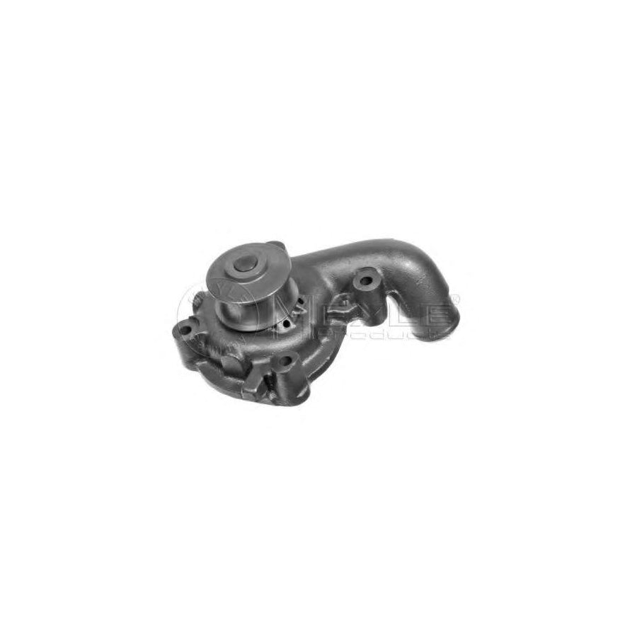 Meyle 713 001 0017 Water Pump