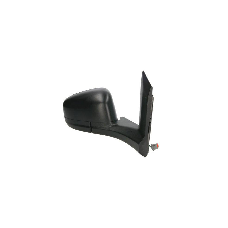 Blic 5402-03-2001255P Wing Mirror