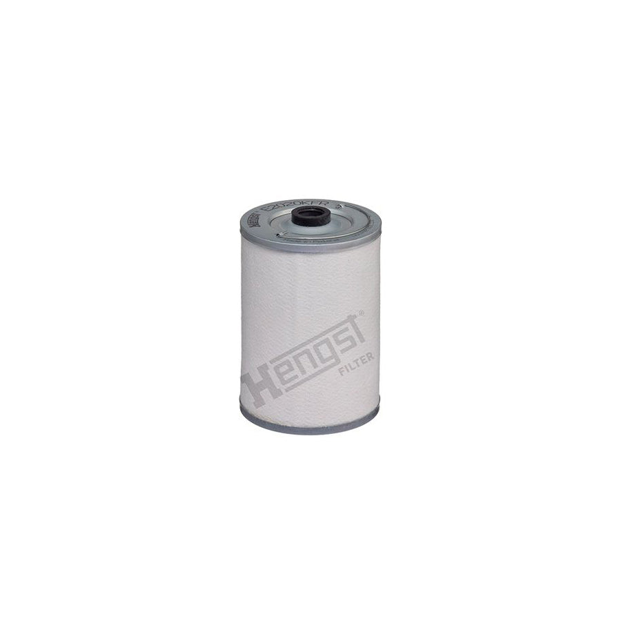 Hengst Filter E2020KFR Fuel Filter