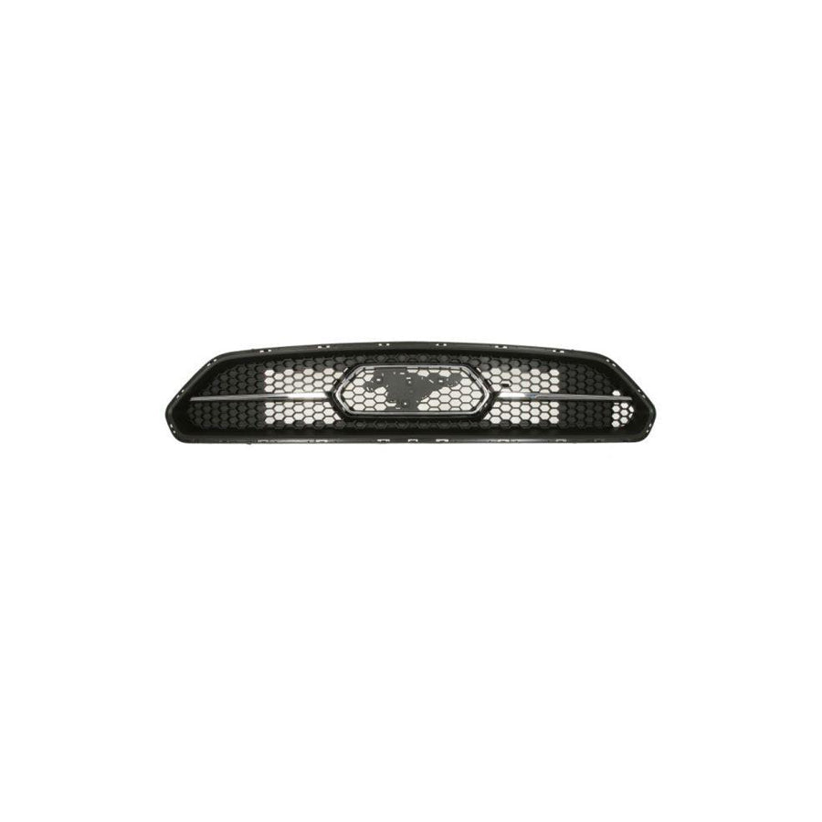 Blic 6502-03-2589205P Radiator Grille