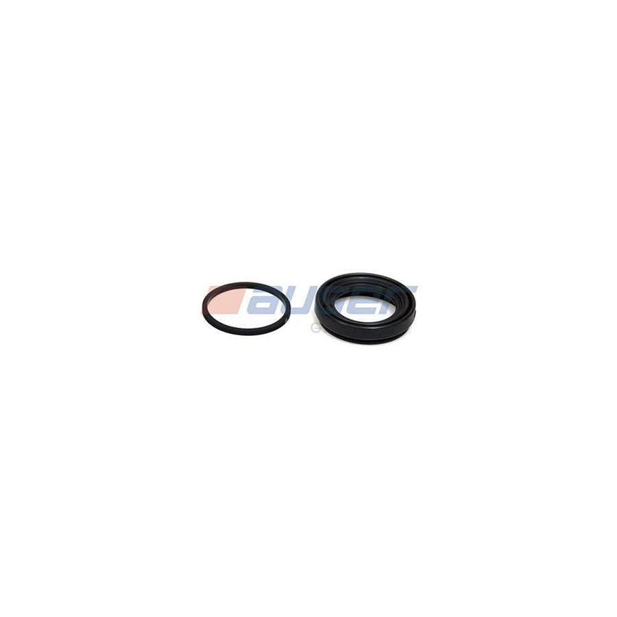 Auger 55815 Repair Kit, Brake Caliper