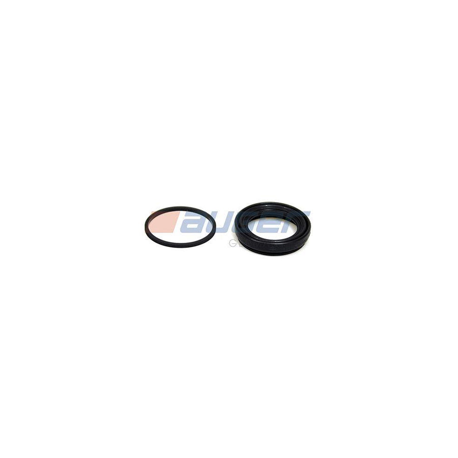 Auger 55810 Repair Kit, Brake Caliper