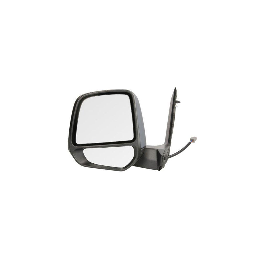 Blic 5402-03-2001247P Wing Mirror