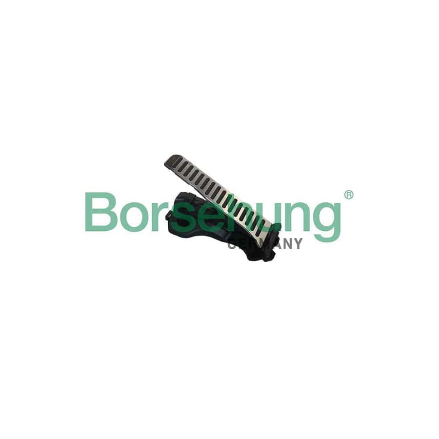 Borsehung B18728 Accelerator Pedal Kit